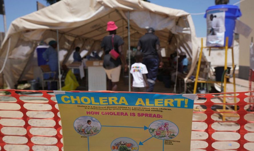 World Health Organization approves updated cholera vaccine to combat surge in cases