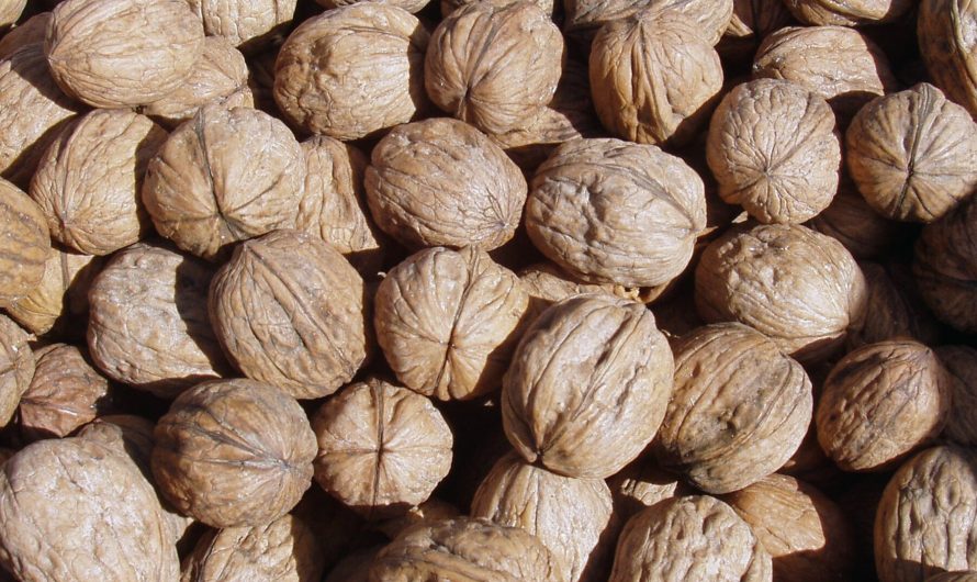 Walnuts Recalled From Natural Food Stores After E. Coli Outbreak