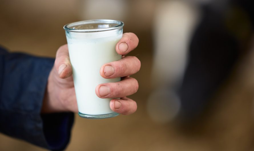 Raw milk sales are spiking in the U.S. despite bird flu warnings