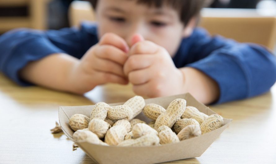 Feeding peanuts to babies could prevent allergies through the teen years, study finds