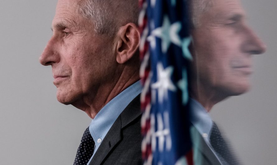 Fauci Says the Idea That He Covered Up a Lab Leak Is ‘Preposterous’